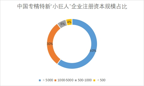 专精特新“小巨人”企业注册资本规模占比