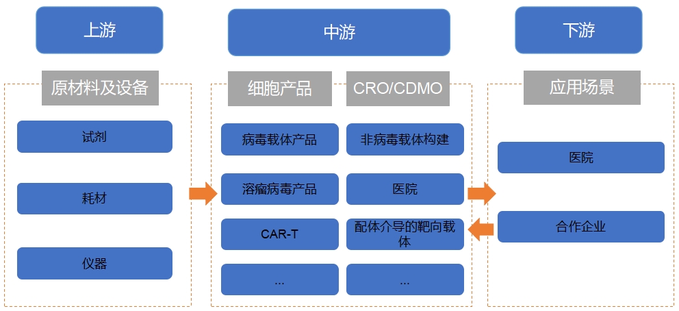 全球细胞与基因治疗（CGT）行业分析报告