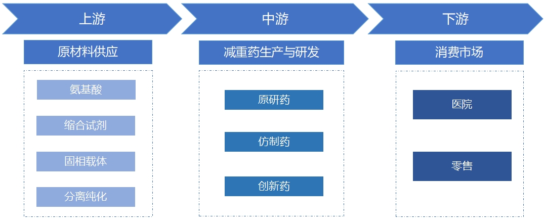 全球及中国减重药行业分析报告