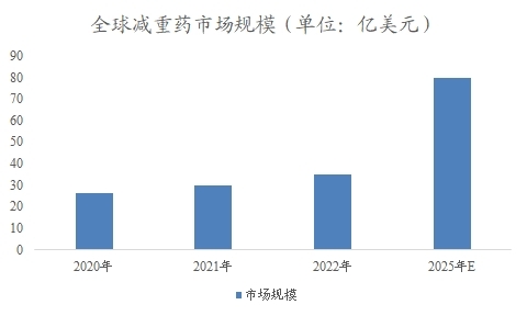 全球及中国减重药行业分析报告