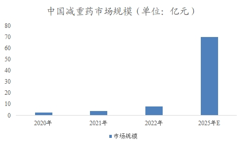 中国减重药市场研究报告