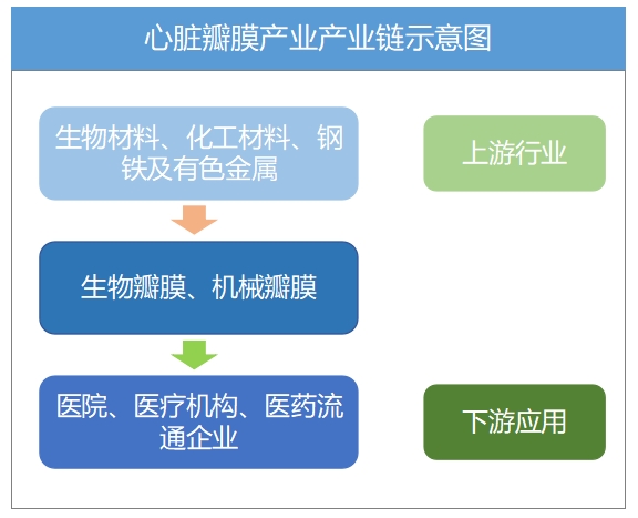 全球及中国心脏瓣膜行业研究报告