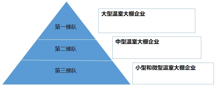 中国温室大棚市场梯队