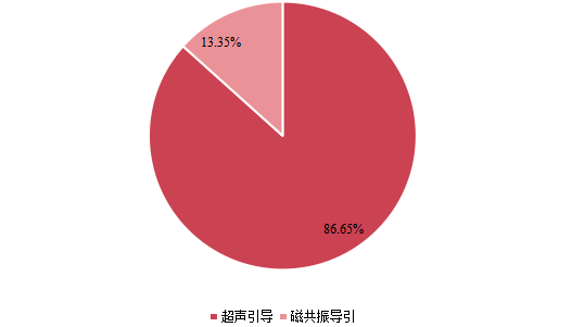 2021年全球不同类型高强度聚焦超声系统产量市场份额