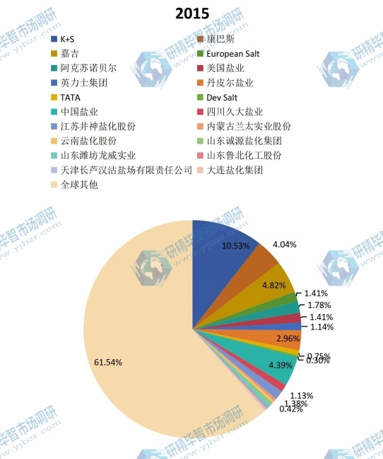 2015全球主要生产商盐产量份额