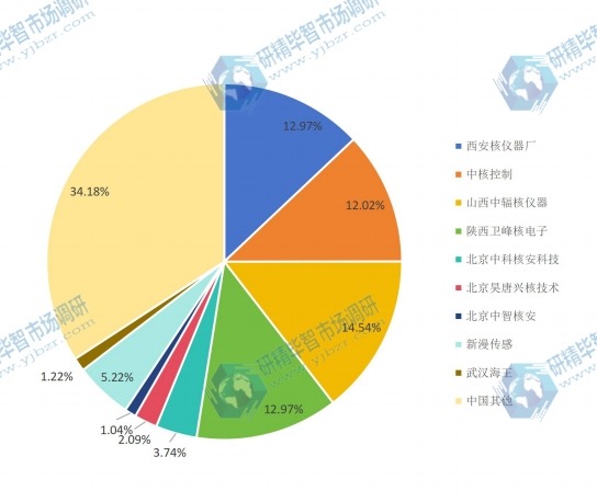 2017年中国主要生产商核辐射检测仪产量份额预测