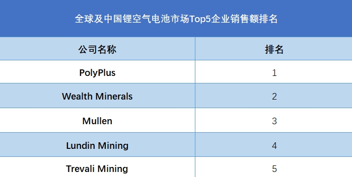 全球及中国锂空气电池市场Top5企业销售额排名