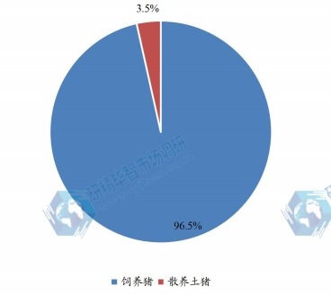 国内饲养猪和散养土猪消费量占比（2023年）