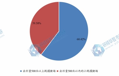 全国小规模养殖出栏量500头以内企业数量占比（2023年）