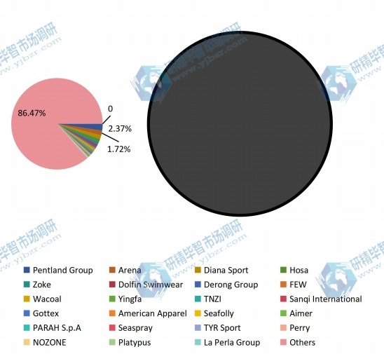 2016年全球供应商泳装销量市场份额