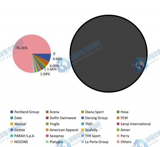 2016年全球供应商泳装销售额市场份额