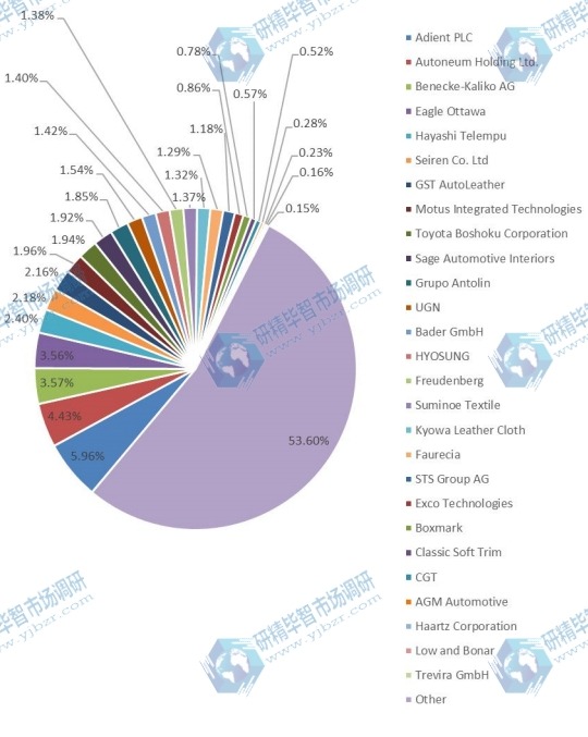2017年全球汽车软内饰内饰材料收入份额