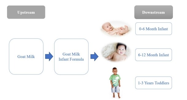 山羊奶婴儿配方奶粉价值链分析