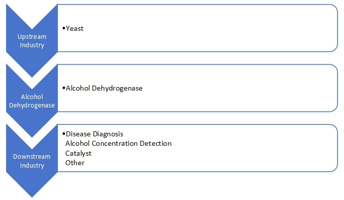 酒精脱氢酶产业链分析