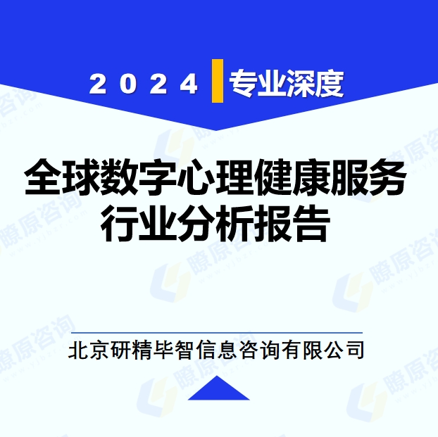 2024年全球数字心理健康服务行业分析报告