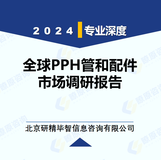 2024年全球与中国PPH管和配件市场深度调研报告：行业趋势与投资前景分析